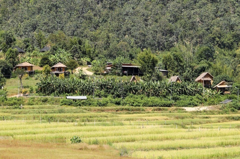 The Israeli Traveler's Guide to Northern Thailand